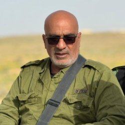 אמיר