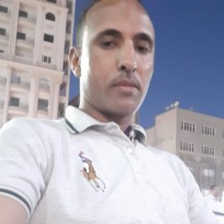 محمد محمد مصرى