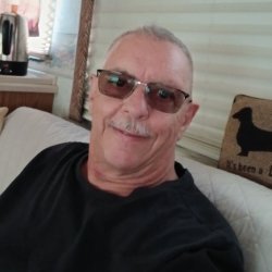 Dan