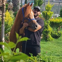 ابو جواد