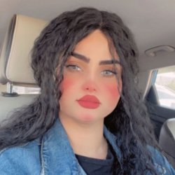 نورس