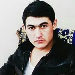 Pulod