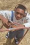 Tyrun