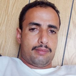 صفوان الحصن