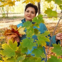 Альбина