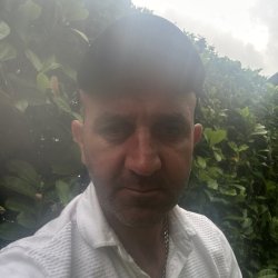 Fedea