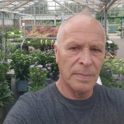 Владимир