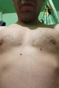 Bohodir