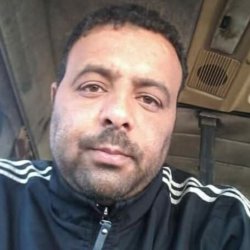 Mido Gentleman