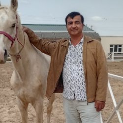 Serdar