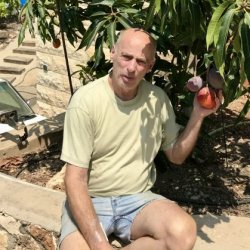 אבי