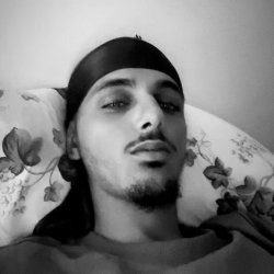 Harel
