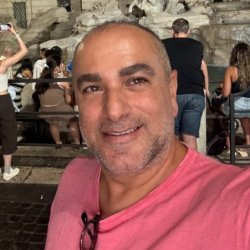 David alon