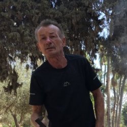 Алекс