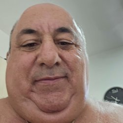 אילן