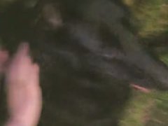 Sam